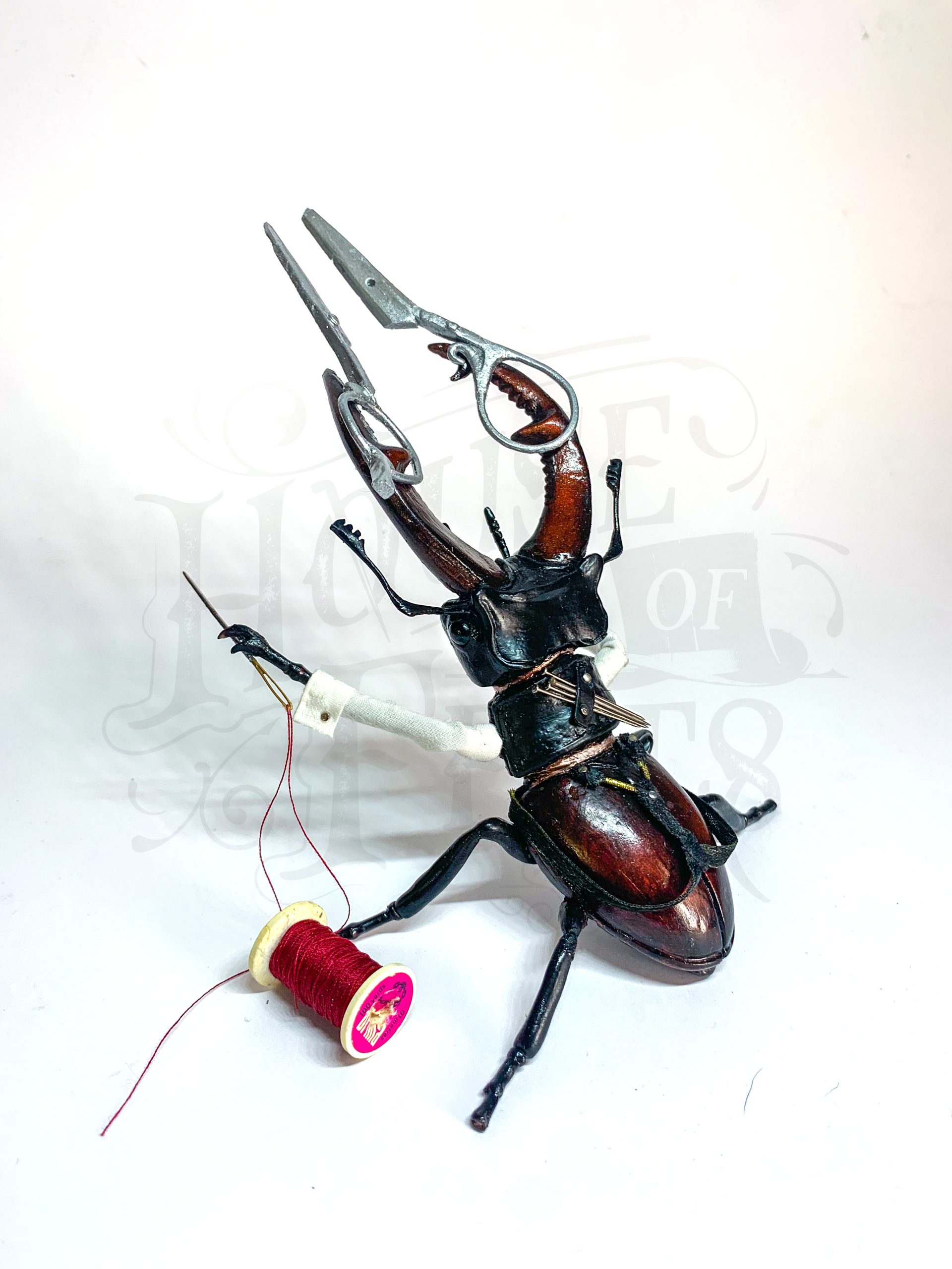 Stag Beetle Insect Wildlife Sculpture made from polymer clay super sculpey