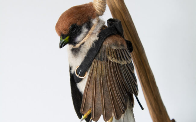 Realistic Needle Felted Bird Tree Sparrow
