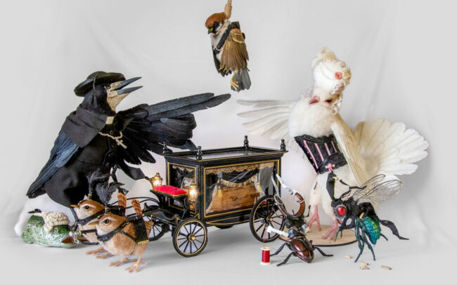 Collection of needle felted animal characters from the story of 'who killed cock robin' by Wildlife Artist Malachai Cribdon